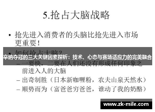 辛纳夺冠的三大关键因素探析：技术、心态与赛场适应力的完美融合