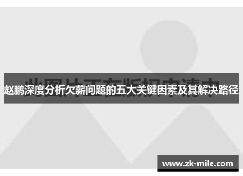 赵鹏深度分析欠薪问题的五大关键因素及其解决路径