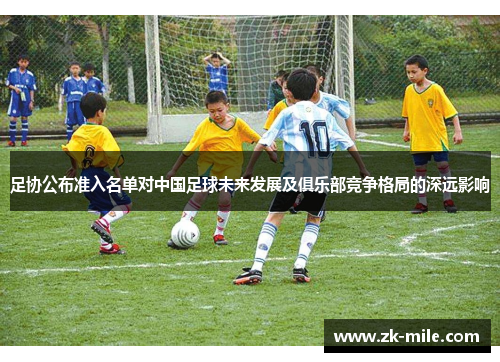 足协公布准入名单对中国足球未来发展及俱乐部竞争格局的深远影响