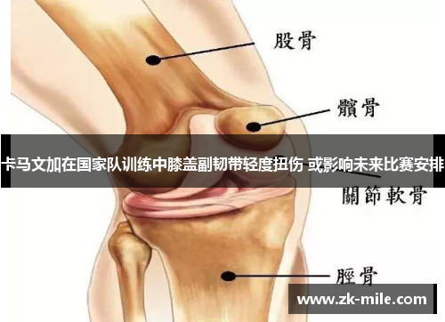 卡马文加在国家队训练中膝盖副韧带轻度扭伤 或影响未来比赛安排